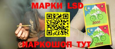 стаф Пенза