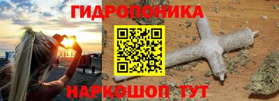 шишки Партизанск