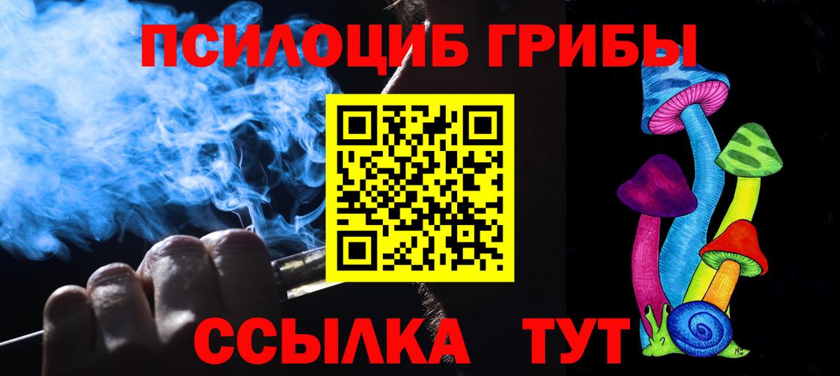 Петрозаводск  Галлюциногенные грибы Psilocybe  Псилоцибиновые грибы мицелий  Вход с VPN 